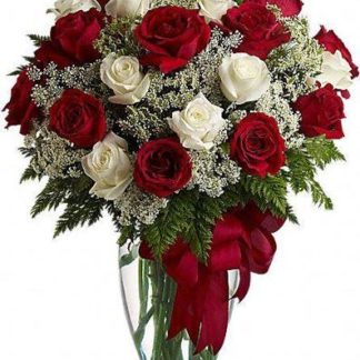 25 red and white roses